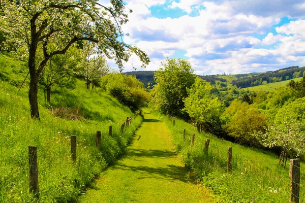 Almanya'da Hill manzara. Eifel bölgesinin Kronenburg.