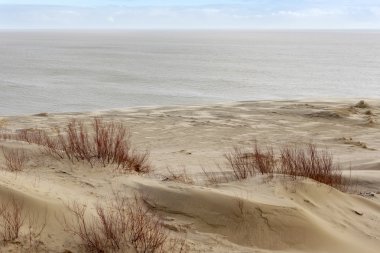 Kum tepeleri Rus Curonian Spit Şubat ayında bölüm.. 