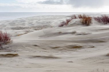Kum tepeleri Rus Curonian Spit Şubat ayında bölüm.. 