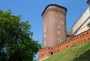 Ortaçağ Senatör kule Wawel tepe üzerinde