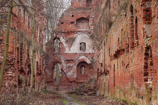 Les ruines du château teutonique médiéval Balga. — Photo