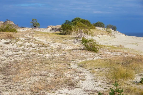 Es ist eine 98 km lange gebogene Sanddünenspitze, die das Kurische Haff von der Ostseeküste trennt. — Stockfoto