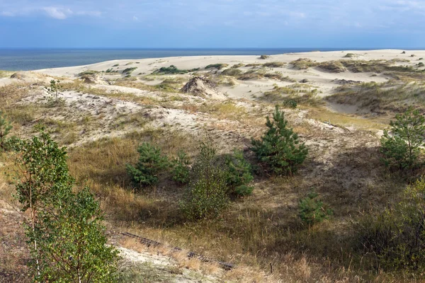 Dunas de areia da parte russa Curonian Spit no outono . — Fotografia de Stock