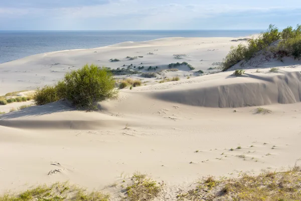 Sanddünen des russischen Teils Kurische Nehrung im Herbst. — Stockfoto