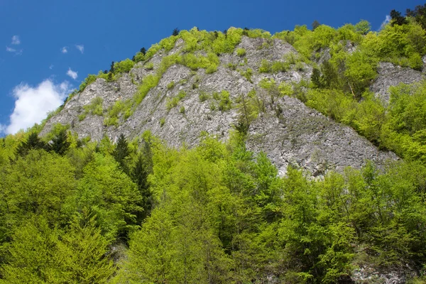 Скелі так званого сім ченці в Національний парк П'єніни. — стокове фото