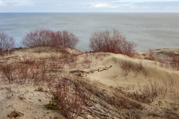 Sanddünen des russischen Teils Kurische Nehrung im Februar. — Stockfoto