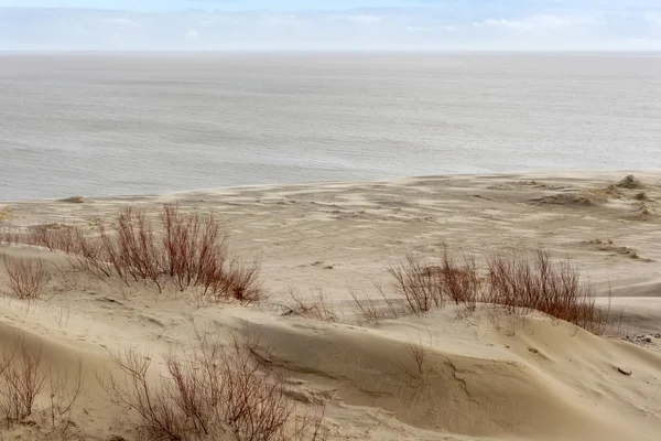 Sanddünen des russischen Teils Kurische Nehrung im Februar. — Stockfoto