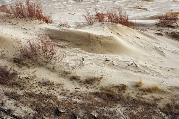 Sand dunes of the russian part Curonian Spit in february. — Stock Photo, Image
