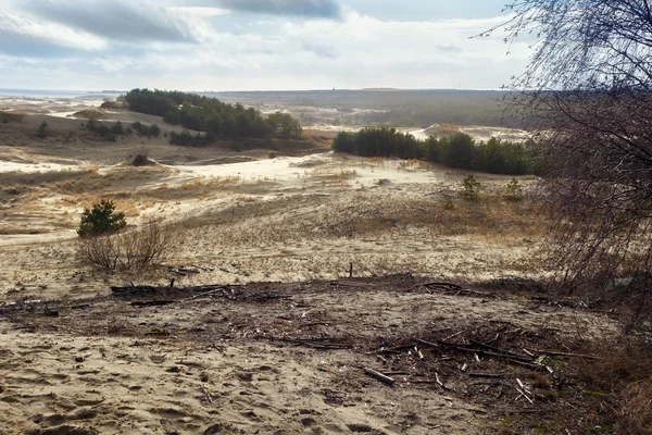 Песчаные дюны русской части Куршской косы в феврале . — стоковое фото