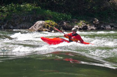 Popüler Dunajec Pieniny Milli Parkı'nda rafting