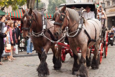 Belçika birası hafta sonu 2014
