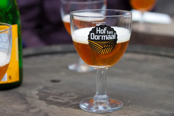 Szklanka piwa dziesięć Dormaal Hof w browarze w Belgii. — Zdjęcie stockowe