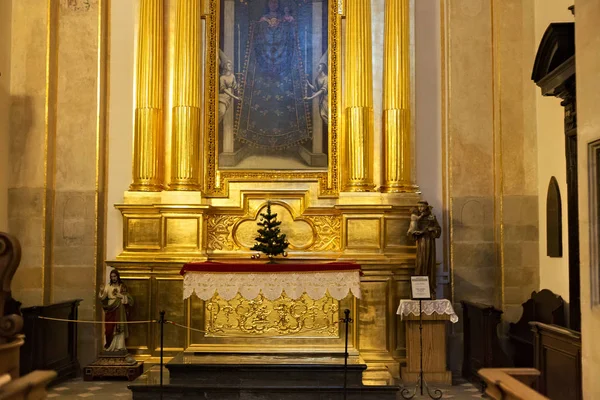 Heiligen van de Peter en Paul Church (Xvi-Xvii eeuw) in Krakau. — Stockfoto