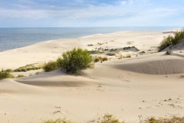 Kum tepeleri Rus Curonian Spit sonbaharda bölüm..