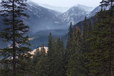 Yüksek Tatras dağlarının görünümü.