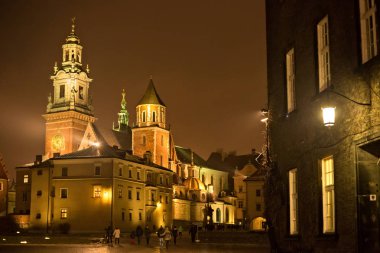 Wawel Royal Archcathedral Bazilikası Saints Stanislaus ve Wenceslaus görünümü 