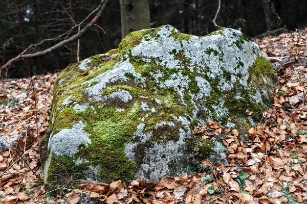 Ancienne vieille pierre recouverte de mousse . — Photo