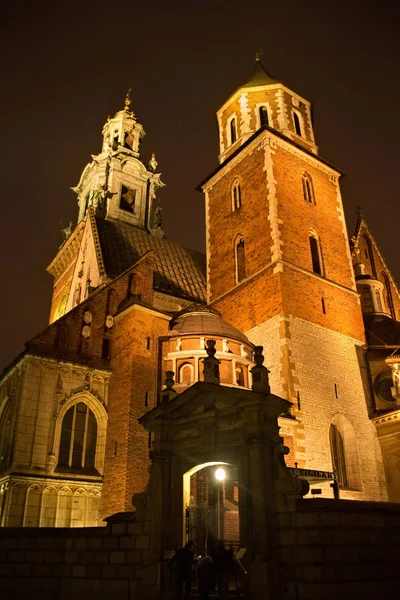 Uitzicht op het Wawel Koninklijke kathedraal basiliek van de heiligen Stanislaus en Wenceslaus — Stockfoto