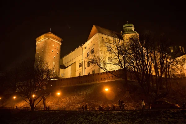 Widok na Kompleks architektoniczny zamek wawelski. — Zdjęcie stockowe