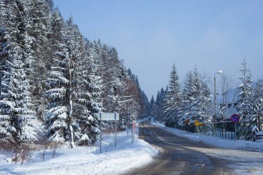 Yolun karlı ormanda.