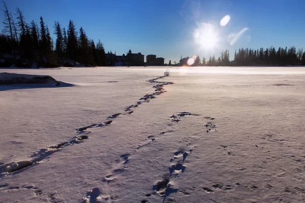 Superfície de gelo do lago Stbske Pleso . — Fotografia de Stock