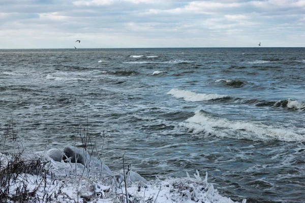 Вид на Балтийское море зимой при сильном ветре в пасмурную погоду . — стоковое фото