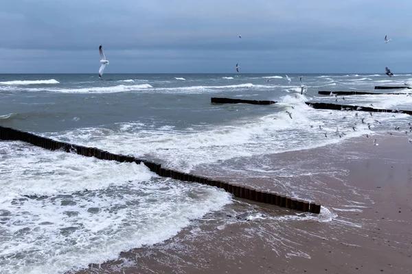 Widok na Morze Bałtyckie zimą podczas silnego wiatru w pochmurny pogoda. — Zdjęcie stockowe
