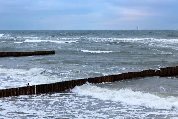 Widok na Morze Bałtyckie zimą. — Zdjęcie stockowe