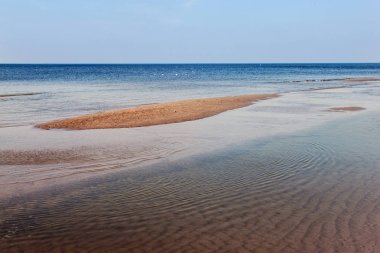 Bahar Baltık Denizi kıyılarında. 