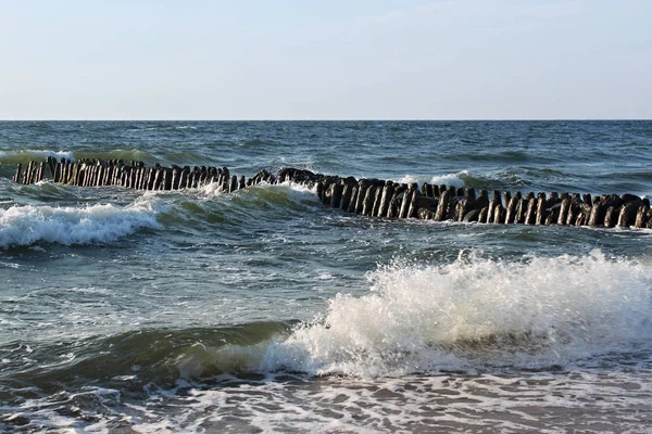 Stary niemiecki falochronu na wybrzeżu Morza Bałtyckiego w lato. — Zdjęcie stockowe