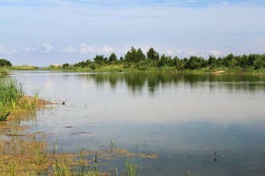 Curonian Spit içinde küçük bir göl.