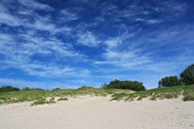 Baltık Denizi Sahili kum plaj. 
