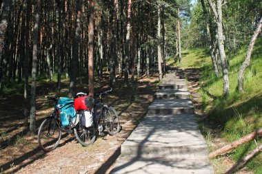 Bicycles near wooden path in the forest of the Curonian Spit. clipart