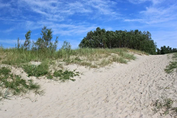 Piaszczystej plaży na wybrzeżu Morza Bałtyckiego. — Zdjęcie stockowe