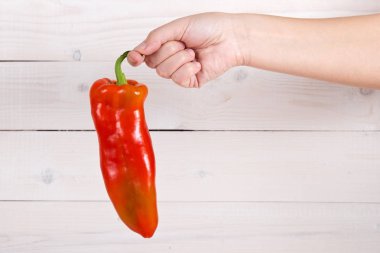 Bir insan eli Bulgar tatlı biber.