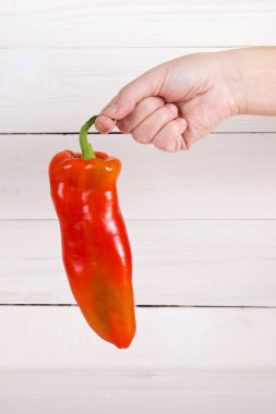 Bulgar tatlı biber.