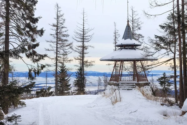 Drewniane viewpoint w popularnych narciarskim i turystycznym ośrodku Hrebienok (1285 m n.p.m.). — Zdjęcie stockowe