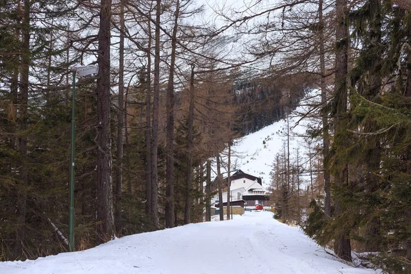 Droga do wsi centrum Hrebienok (1285 m. wysokości) z Tatr Wysokich na tle. — Zdjęcie stockowe