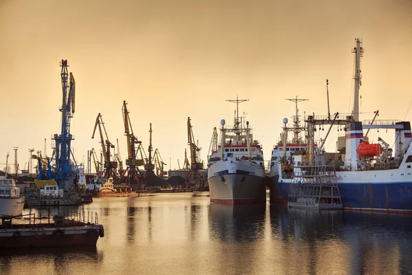Gemiler ve Dock Vinçler liman balıkçılık.