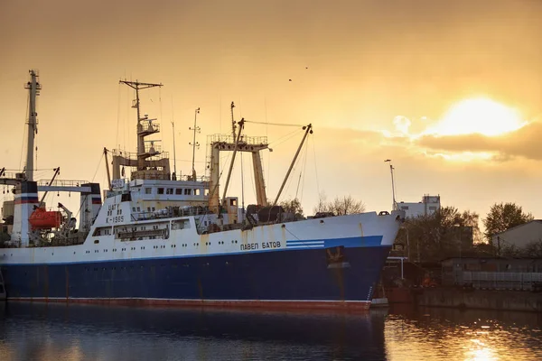 Fiske fartyg K-1965 ”Pavel Batov” på höger banvallen i port Kaliningrad. — Stockfoto