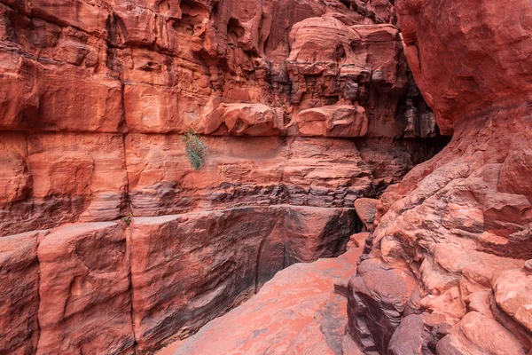 Muri di pietra rossa del canyon del deserto Wadi Rum in Giordania . — Foto Stock