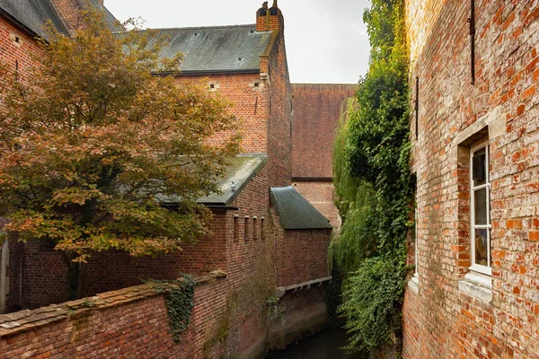 Groot Begijnhof Leuven eski tarihi binalar. — Stok fotoğraf