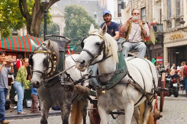 Brussels, Belçika - 06 Eylül 2014: Martin's brewery at arabası sunum sırasında bira üreticilerinden Belçika bira hafta sonu 2014 yılında parade.
