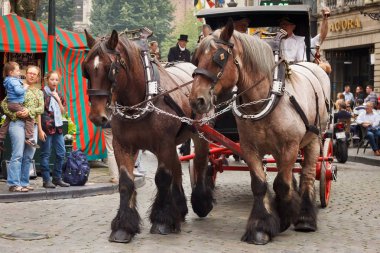 Brussels, Belçika - 06 Eylül 2014: Sunum at arabası ile Bosteels bira bira üreticilerinden Belçika bira hafta sonu 2014 yılında parade sırasında.