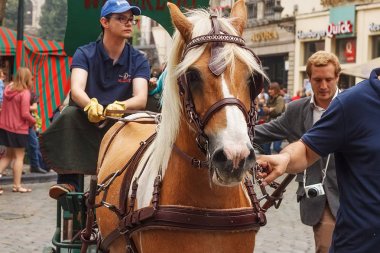 Brussels, Belçika - 06 Eylül 2014: at at başlığı tarafından bira üreticilerinden Belçika bira hafta sonu 2014 yılında geçit töreni sırasında önde gelen bilinmeyen halklar.