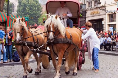 Brussels, Belçika - 06 Eylül 2014: Sunum at arabası ile Bavik bira bira üreticilerinden Belçika bira hafta sonu 2014 yılında parade sırasında.