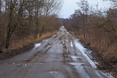 Erken baharda kar kalıntıları ile ormana kırsal yol. 