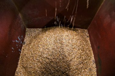 Tesiste tecavüz kabuğu olan bir konteyner.