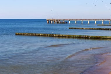 Ünlü tatil beldesi Zelenogradsk 'taki köstebeğin görüntüsü