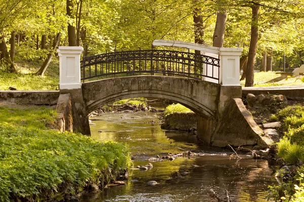 Nehri Kaliningrad Central Park içinde eski köprü 